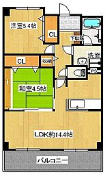 シャインコート