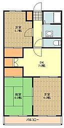 オステンハイム 309