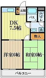 ベルシティ 303