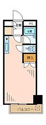静フェバレット