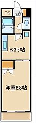 ドミネント清水 203