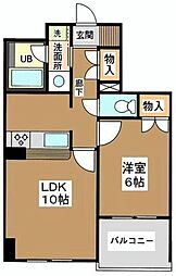 エヴァーグリーン 402