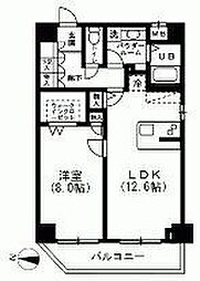 コンフォートレジデンス 205
