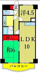 江戸川区篠崎町２丁目