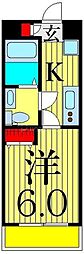 AZESTお花茶屋IV 505