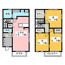 エヴァーグリーン光林