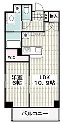 クレサール横中 204