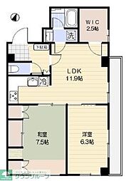 ベルウッド丸山 502