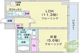 クレインコート