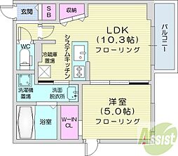 GIRAFFE KIKUSUI Premier