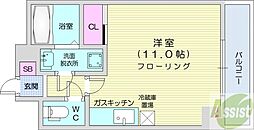 セントポーリアカルーア