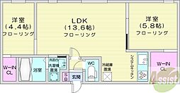 Bellissimo miyanosawa