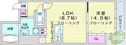ノースプレミア大通北