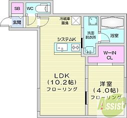 Aster　S14