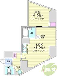 ライオンズシティ円山