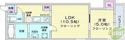 Proud N19