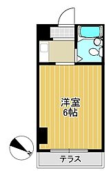 ルネッサンスエレガンス