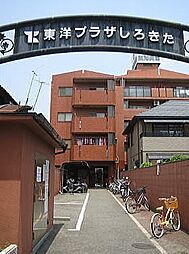 東洋プラザしろきた