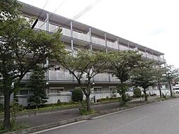 アルファフレグランス