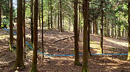 天城高原別荘地 遠笠台A-44-1-2