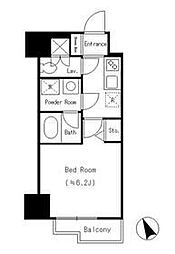 Ｄｏｒｍｏｕｓｅ　Ｆｉｎｅ 101