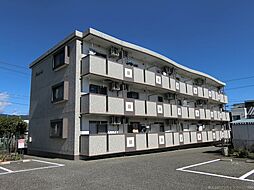 パルテール 205