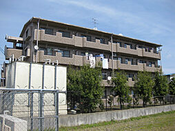 リヴィエールII 103