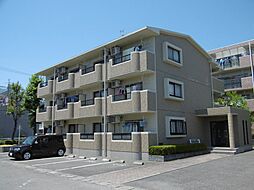 シャンフレーズ 305