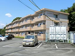 エタニティーII 305