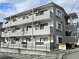 ピュアコースト輝 101