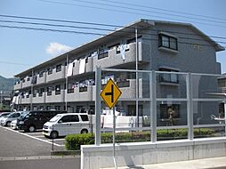 アピオン 203