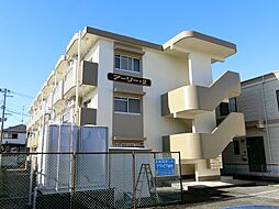 アーリー・2 209