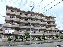 イーグルネスト 203