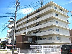 カスタム取出