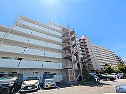 コスモ蕨