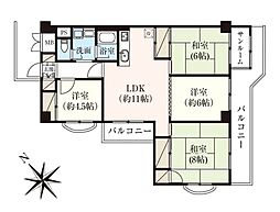 第二芝園ハイツ