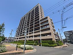 川口ティーブルー