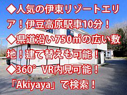 伊東市 十足