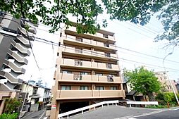 ライムルート翠