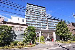 ザ・パークハウス川崎矢向