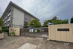川崎市宮前区西野川1丁目 土地