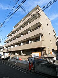 セルサス・スズラン