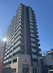 ザ・レジデンス寺田町駅前