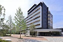 市川市市川南２丁目