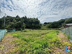浜松市浜名区三ヶ日町大崎　売土地