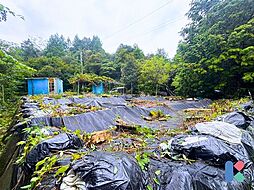 浜松市浜名区都田町　売土地