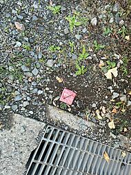 秦野市鶴巻北1丁目　売地