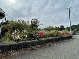 相模原市緑区青野原　事業用地