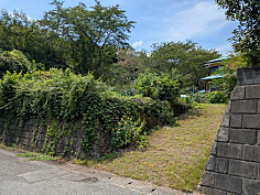 南足柄市狩野　建築条件なし売地
