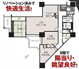 長峰杜の三番街第3号棟 804号室